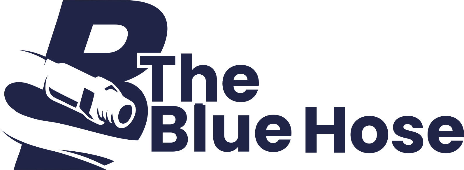 BluBird - Buy Premium Air Hoses & Heavy Duty Air Hose Reels – TheBlueHose