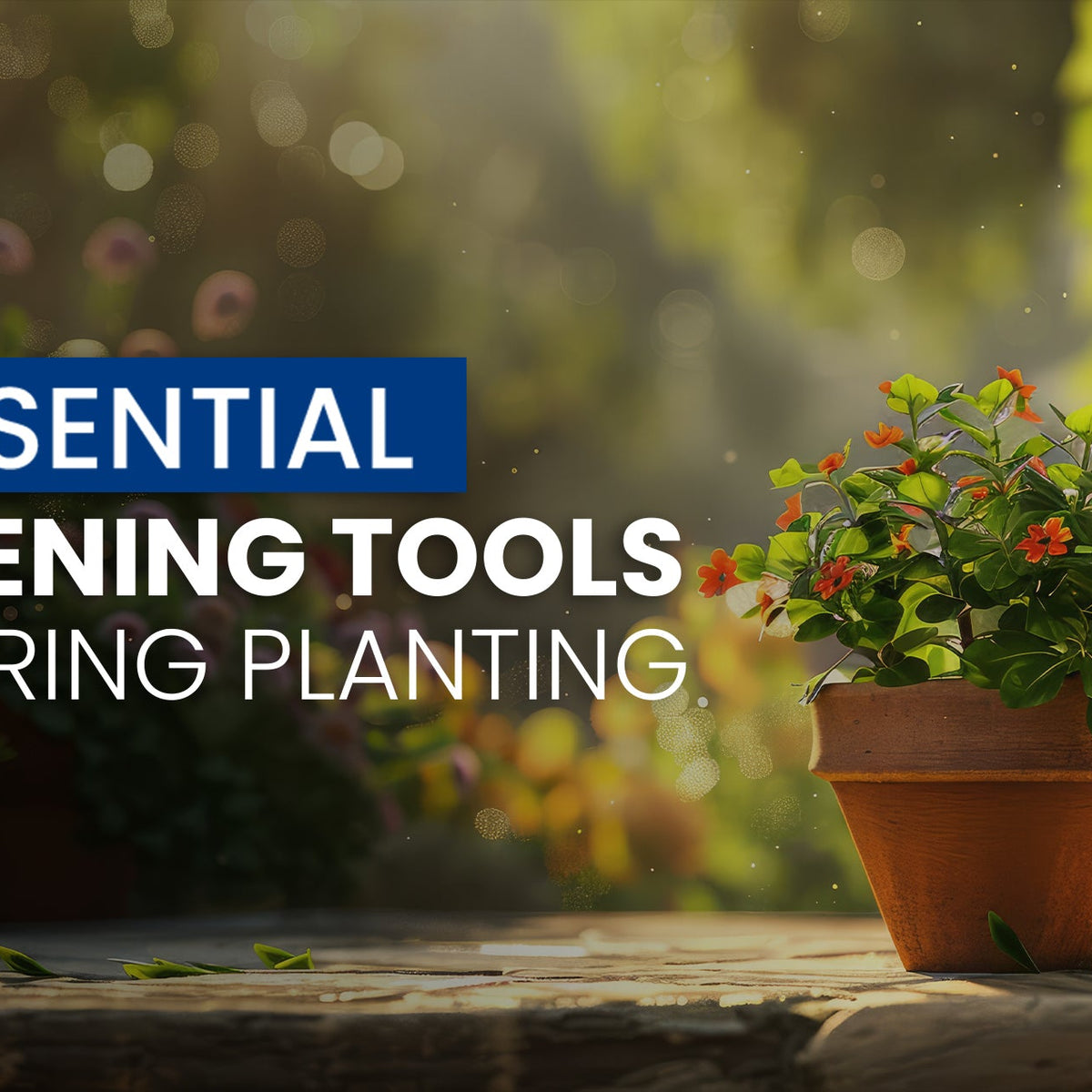 10 Essential Gardening Tools for Spring Planting – TheBlueHose