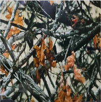 Custom Hydro-Dipped Hose Reel photo 15